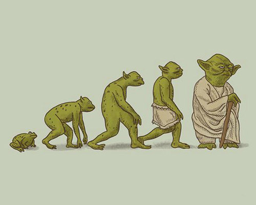 青蛙的进化史
