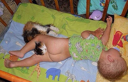 猫咪和孩子的豪情真是太和谐了。