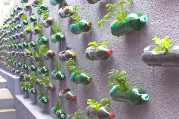垂直塑料瓶花园由巴西的Lar Doce Rar(甜蜜之家)项目((Rosenbaum设计、Luciano施工)建设