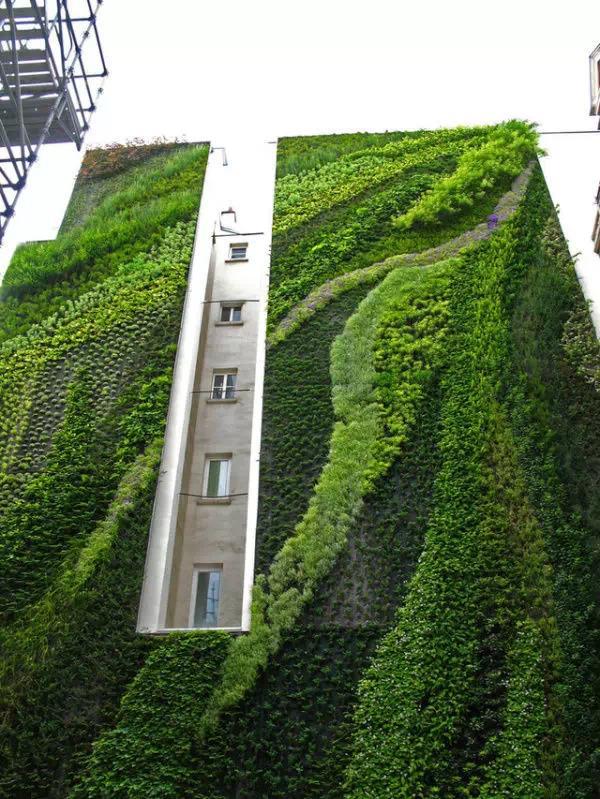 2008年在法国巴黎Rue D’Alsace建造的垂直花园出自Patrick Blanc之手
