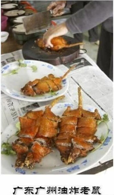 重口味食物：广州油炸老鼠