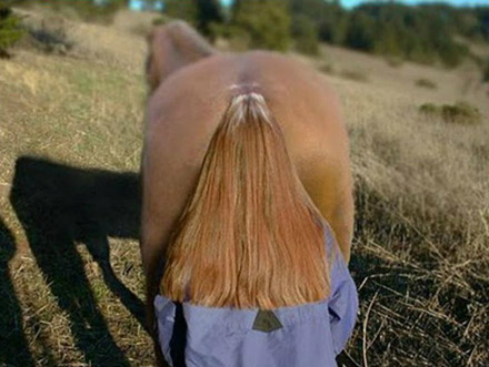 彻底看不出是人头发，还是马的尾巴