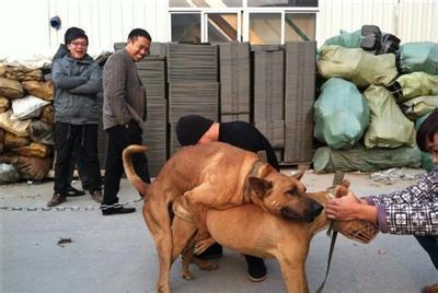 咱们是美好的一家~这是要什么节奏去吗?