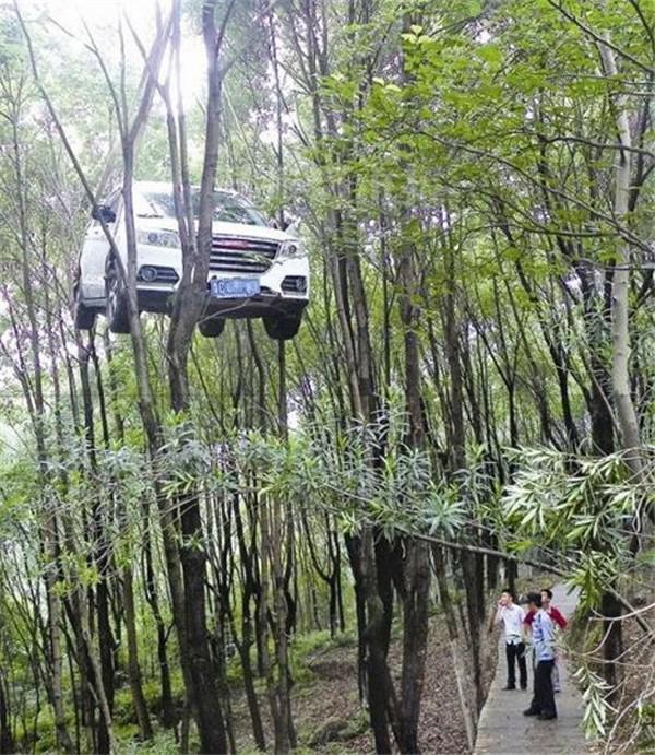 白色的越野车竟然挂在了山坡下的树林里