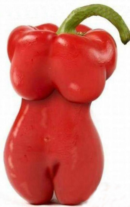 性感的红辣椒