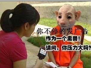 作为一个禽兽，请问你压力大吗