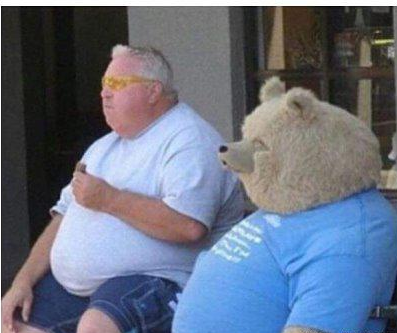 泰迪熊的恋人