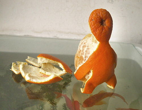 橘子都怀孕了