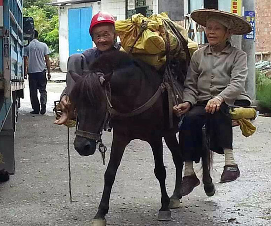 最环保高大上的车辆，你值得拥有