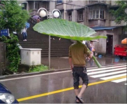  帅哥,你这是竹杖芒鞋轻胜马,一蓑烟雨任平生