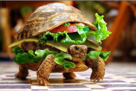 超级乌龟汉堡包,超级赞