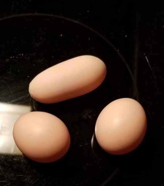 真是涨见识了,一个形状奇异的鸡蛋,而且还是双黄蛋