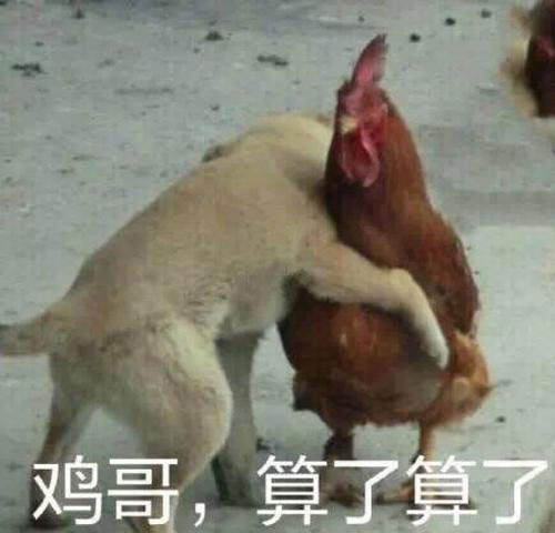 阅读(199)评论(暂无评论) 赞 (0) 笑点:爆笑蛋疼图,搞笑图片