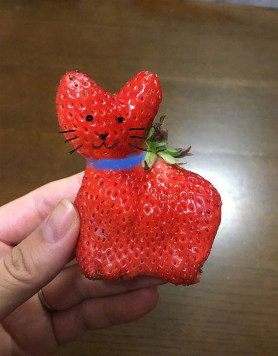生活乐趣无处不在,秒变草莓猫