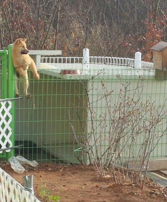 正确的诠释上个网卡成狗的内涵